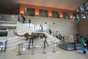 歴史ウォーク2025